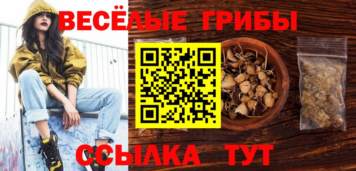 Псилоцибиновые грибы MAGIC MUSHROOMS  Вход с VPN  Ливны 