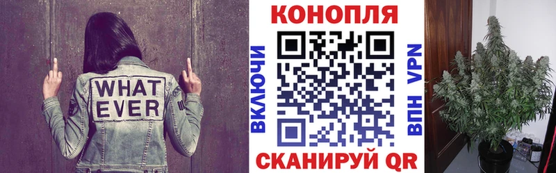 даркнет сайт  Ливны  Шишки марихуана OG Kush 